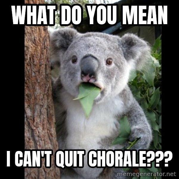 Koala can't believe it meme: What do you mean / I can't quit chorale???