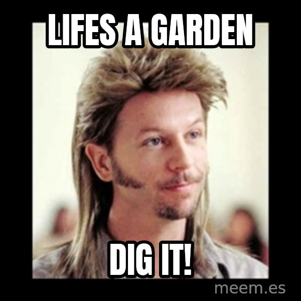 Joe Dirt meme: lifes a garden / dig it!