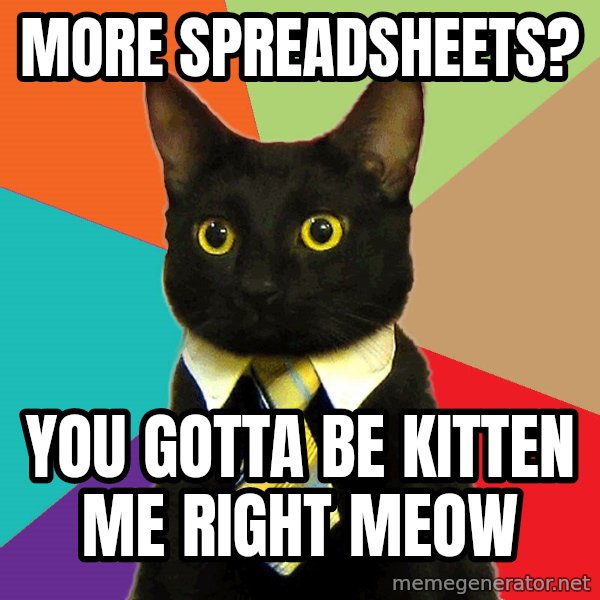 Business Cat meme: more spreadsheets? / you gotta be kitten me right meow