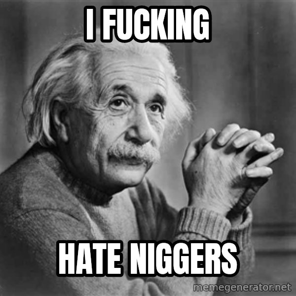 Albert Einstein meme: I fucking / Hate niggers