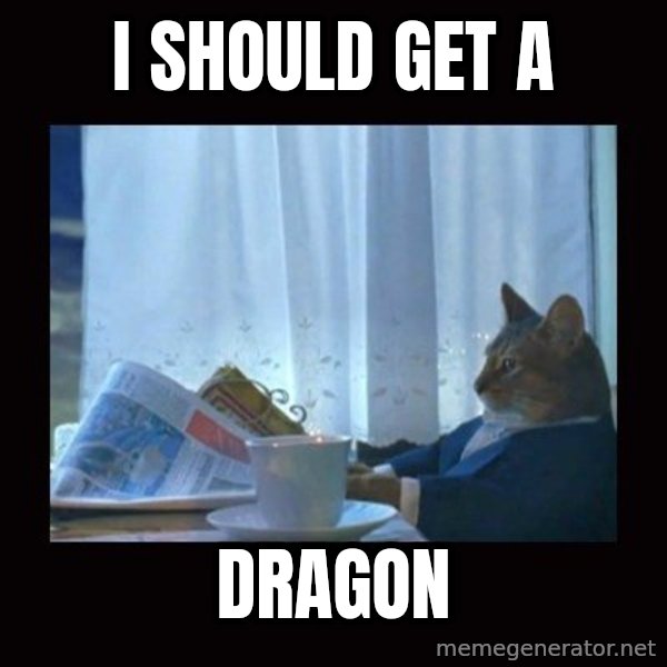 i should buy a boat cat meme: I should get a / Dragon