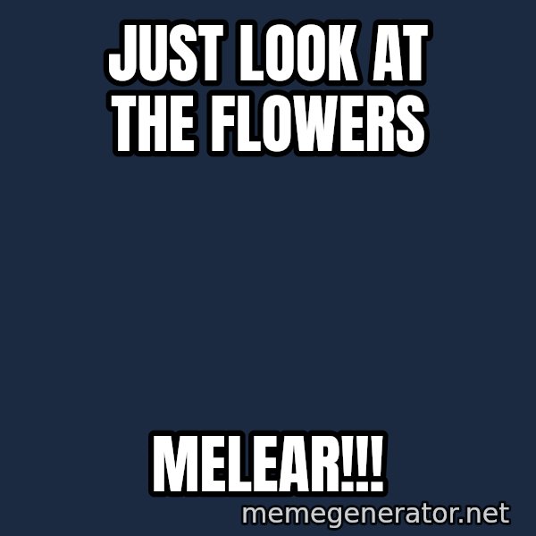 Look At The Flowers meme: Just look At The flowers / melear!!!