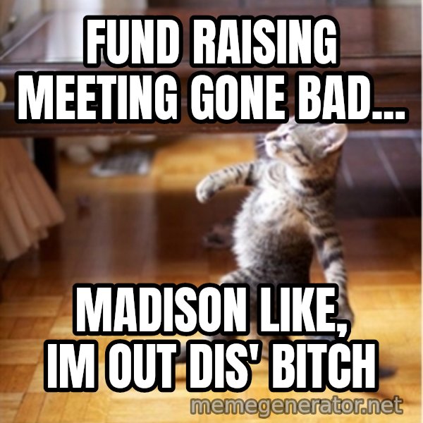 walking cat meme: fund raising meeting gone bad... / Madison like, im out dis' bitch