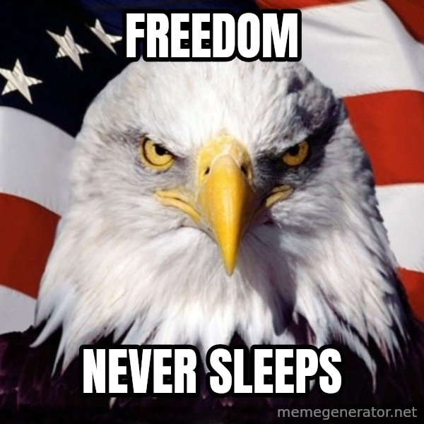 American Pride Eagle meme: Freedom / Never Sleeps