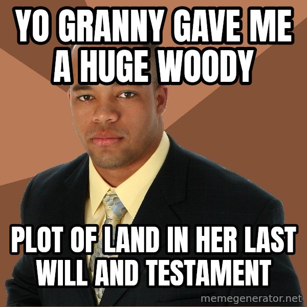 Successful Black Man meme: Yo granny gave me a huge woody / Plot of land in her laSt will and testament