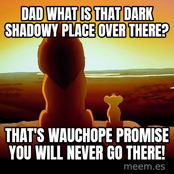 simba mufasa meme: Dad What is that Dark shadowy Place over there? / That's wauchope promise you will never go there!