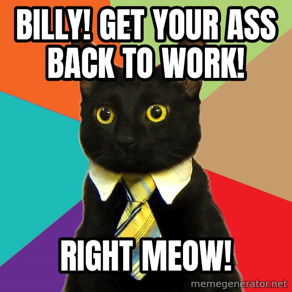 Business Cat meme: Billy! Get your ass back to work! / Right Meow!