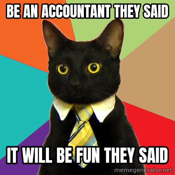 Business Cat meme: Be an accountant they said / It will be fun they said