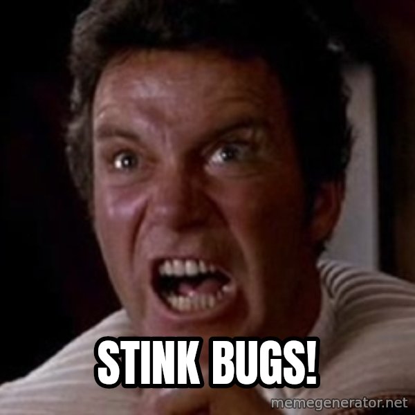 Khan meme: STINK BUGS!