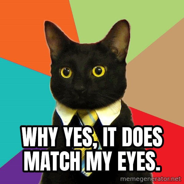 Business Cat meme: why yes, it does match my eyes.