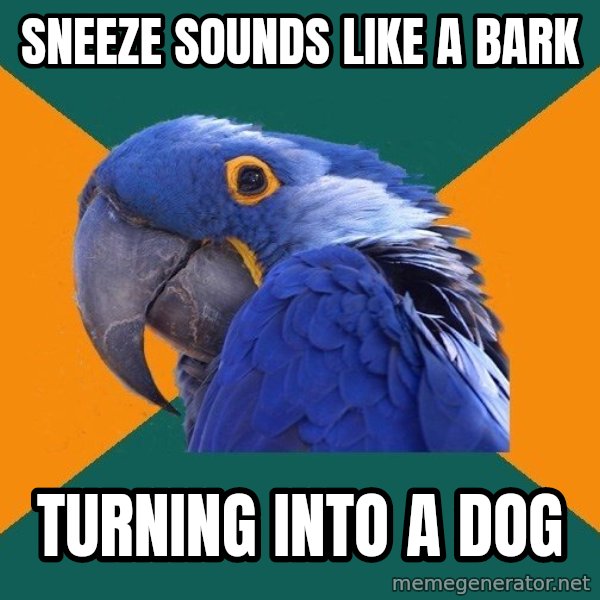 Paranoid Parrot meme: sneeze sounds like a bark / turning into a dog