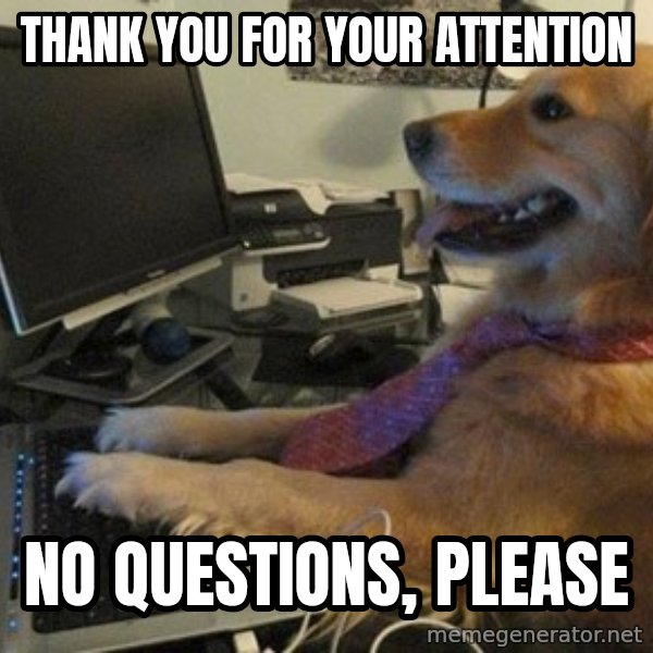 I have no idea what I'm doing - Dog with Tie meme: thank you for your attention / no questions, please
