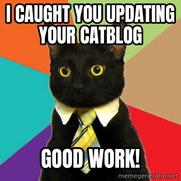 Business Cat meme: I caught you updating your catblog / Good work!