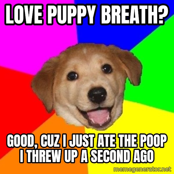 Advice Dog meme: love puppy breath? / good, cuz i just ate the poop i threw up a second ago