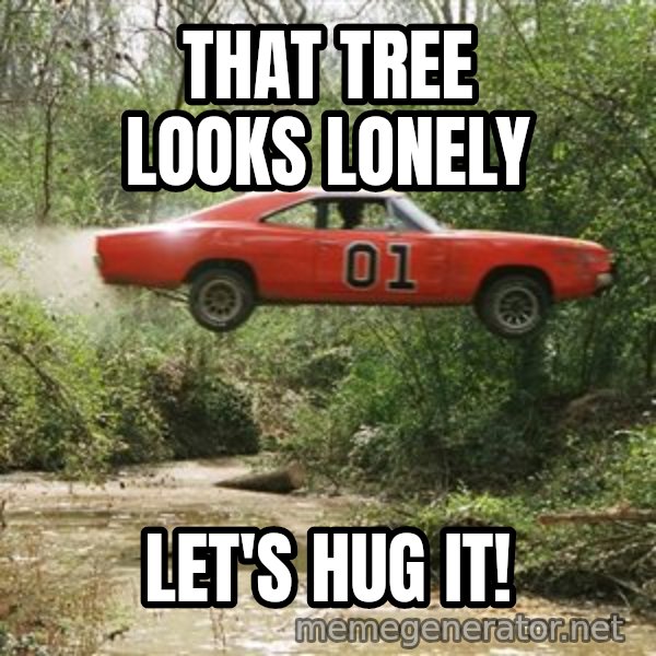 Dukes Of Hazzard meme: That tree looks lonely / Let's hug it!