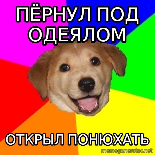 Advice Dog meme: пёрнул под одеялом / открыл понюхать