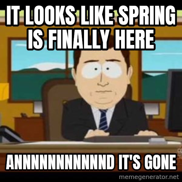 south park aand it's gone meme: IT LOOKS LIKE SPRING IS FINALLY HERE / ANNNNNNNNNNND IT'S GONE