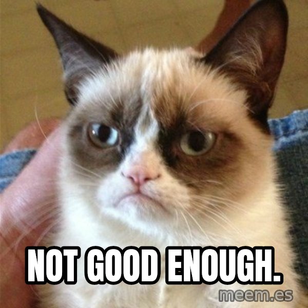 Grumpy Cat  meme: NOT GOOD ENOUGH.