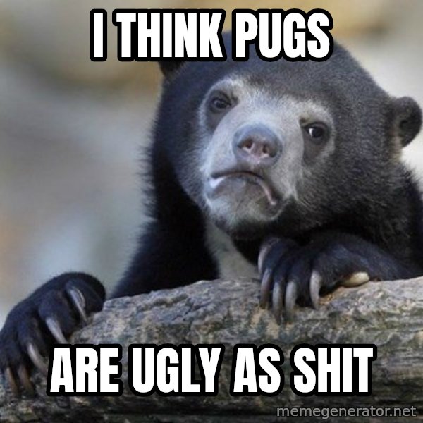 Confession Bear meme: I think pugs / are ugly as shit