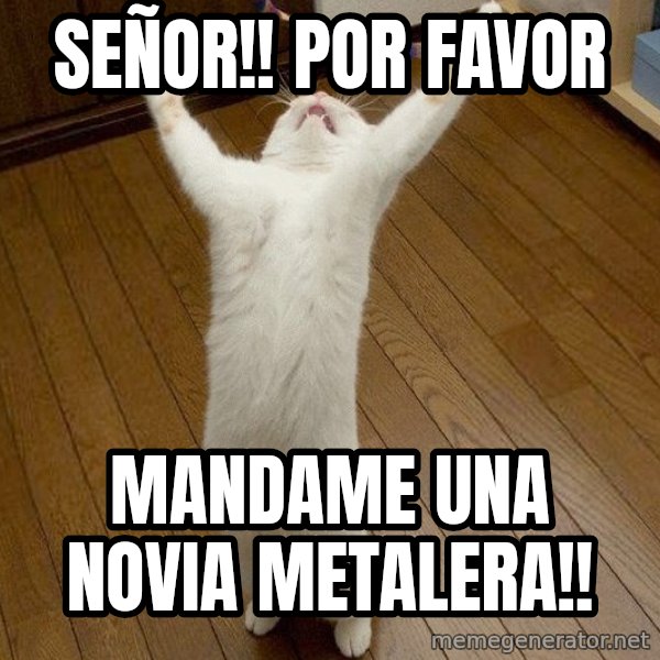praise the lord cat meme: Señor!! POr favor / Mandame Una Novia Metalera!!