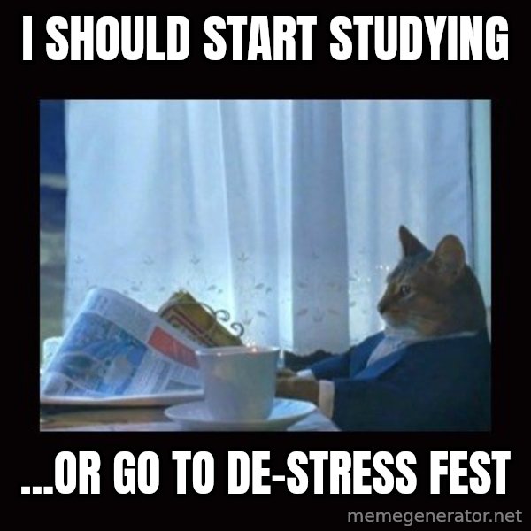 i should buy a boat cat meme: I should start studying / ...or go to de-stress fest