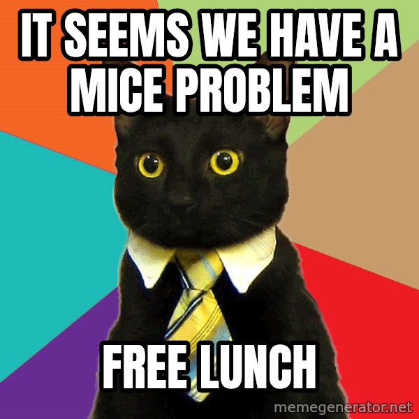 Business Cat meme: it seems We have a mice problem / Free lunch
