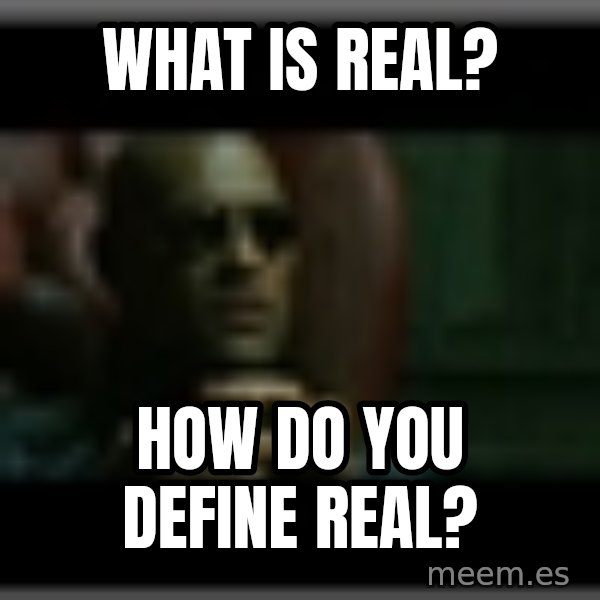 Morpheusone meme: What is real? / How do you define real?