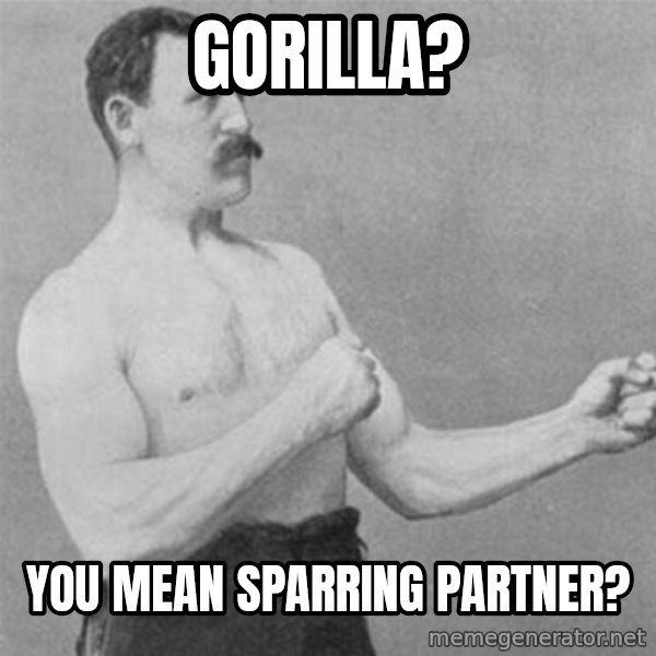 overly manlyman meme: gorilla? / you mean sparring partner?