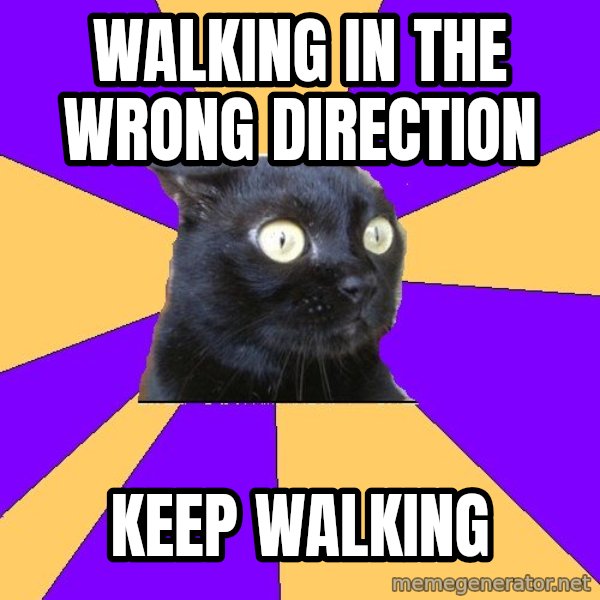 Anxiety Cat meme: walking in the wrong direction / keep walking
