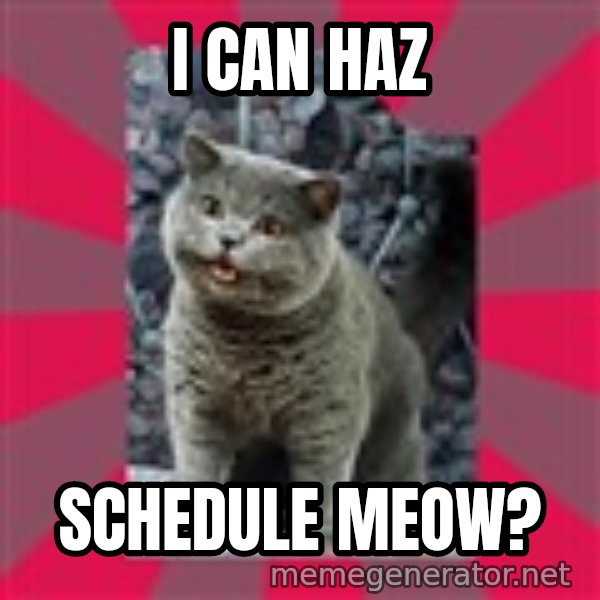 I can haz meme: I can haz / Schedule meow?