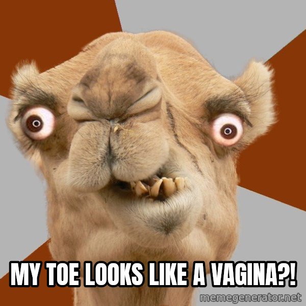 Crazy Camel lol meme: My toe looks like a vagina?!