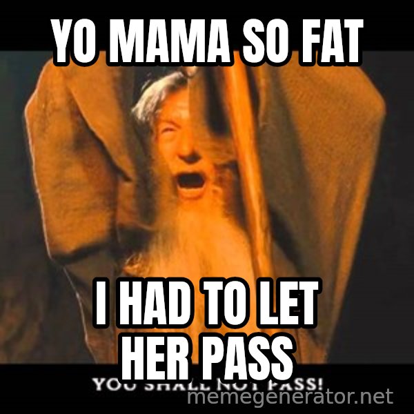 You Shall Not Pass Gandalf With Bottom Text meme: Yo Mama so fat / i had to let her pass