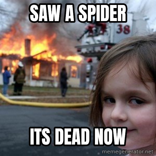 Disaster Girl meme: saw a spider / its dead now