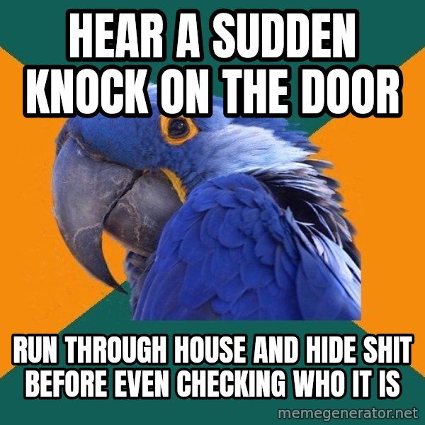 Paranoid Parrot meme: Hear a sudden knock on the door / run through house and hide shit before even checking who it is