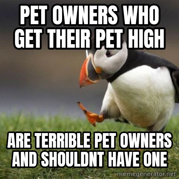 Unpopular Opinion Puffin meme: Pet owners who get their pet high / Are terrible pet owners and shouldnt have one