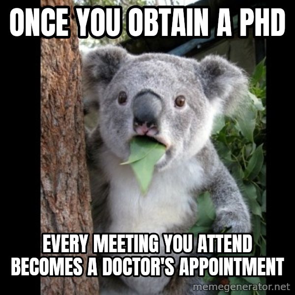 Koala can't believe it meme: Once you obtain a phd / Every meeting you attend becomes a doctor's appointment