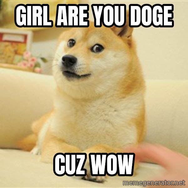 so doge meme: girl are you doge / cuz wow