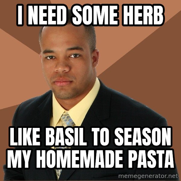 Successful Black Man meme: I need some herb / Like basil to season my homemade pasta