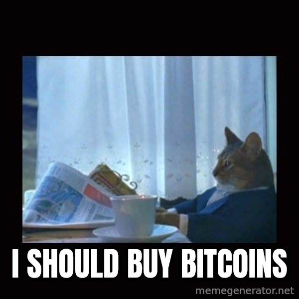 i should buy a boat cat meme: i should buy bitcoins