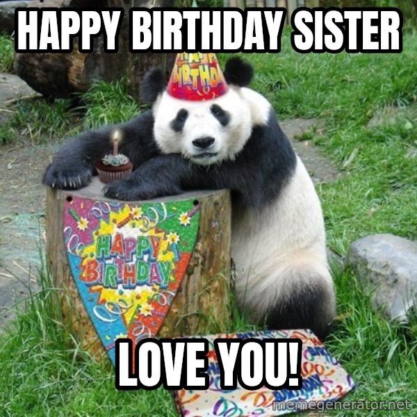 Happy Birthday Panda meme: Happy Birthday Sister / Love you!