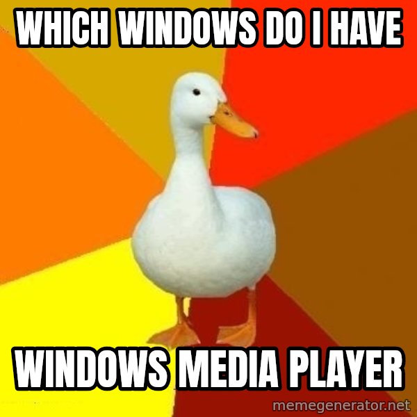 Technologically Impaired Duck meme: Which windows do I have / windows media player