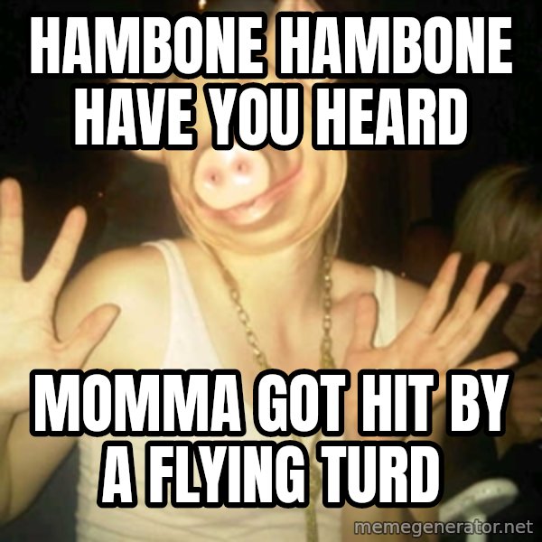 Pig Chloe meme: hambone hambone have you heard / momma got hit by a flying turd