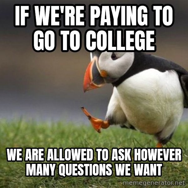Unpopular Opinion Puffin meme: If we're paying to go to college / We are allowed to ask however many questions we want