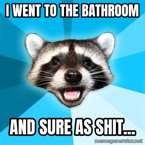 Lame Pun Coon meme: i went to the bathroom / and sure as shit...