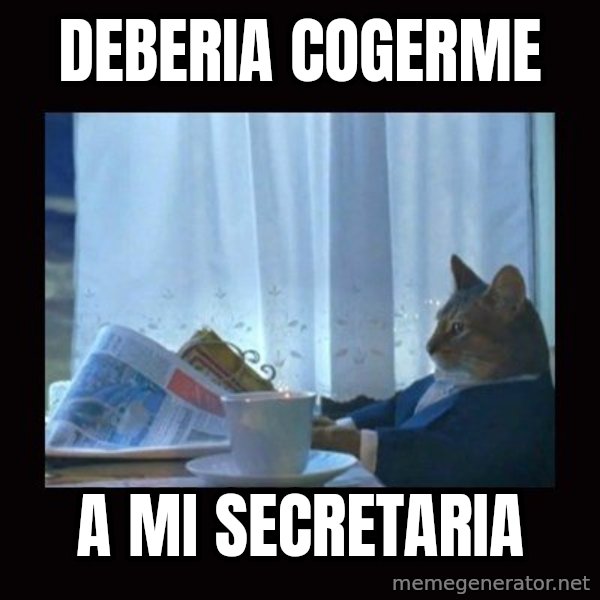 i should buy a boat cat meme: deberia cogerme / a mi secretaria
