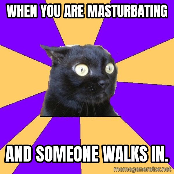 Anxiety Cat meme: when you are masturbating / and someone walks in.