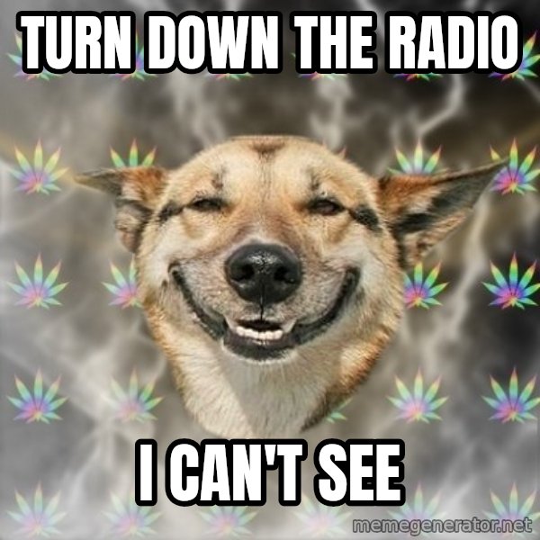 Stoner Dog meme: Turn down the radio / I can't see