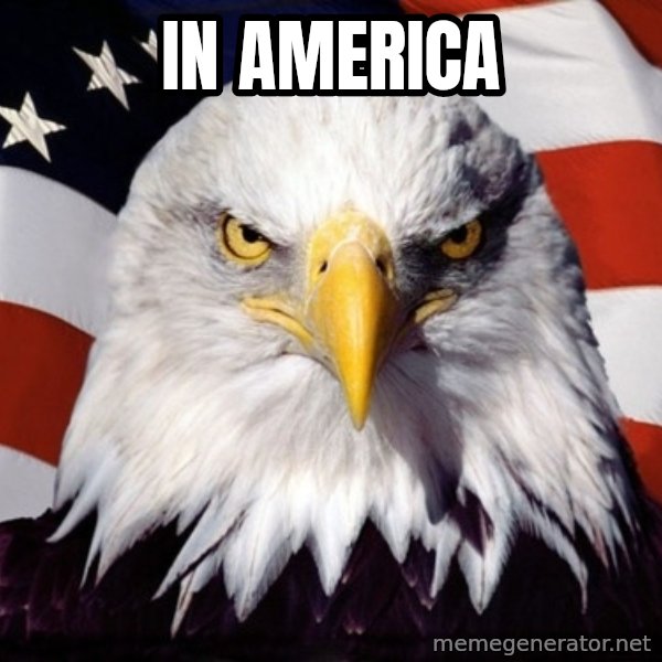 American Pride Eagle meme: In america