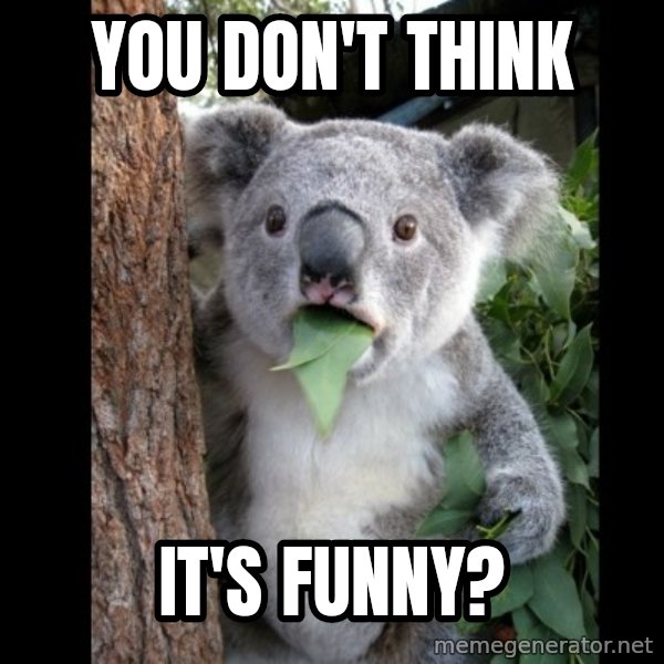 Koala can't believe it meme: You don't think / It's funny?