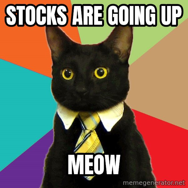 Business Cat meme: Stocks are going up / Meow
